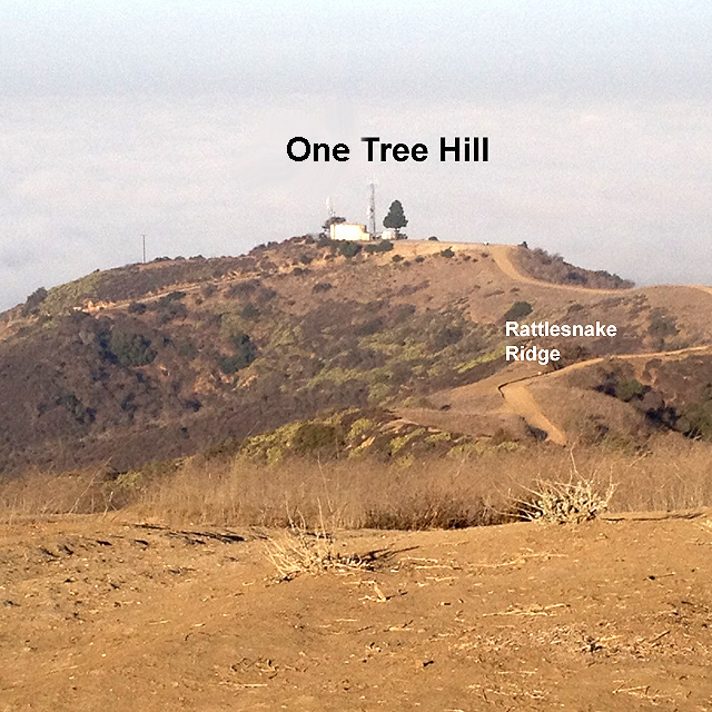 Lone Tree Hill